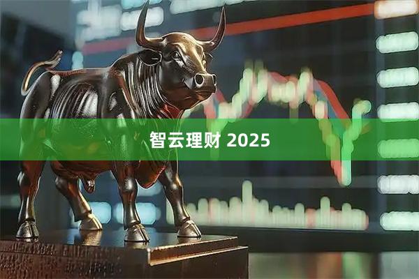 智云理财 2025