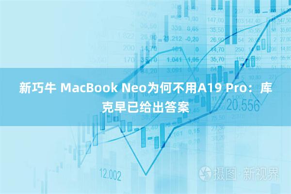 新巧牛 MacBook Neo为何不用A19 Pro：库克早已给出答案